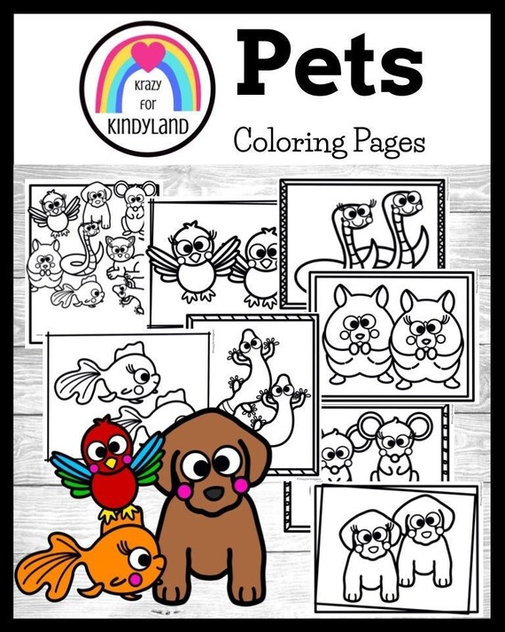 Pets printable coloring pages booklet dog cat bird fish gecko mouse hamster kids coloring pages coloring book kids coloring sheets