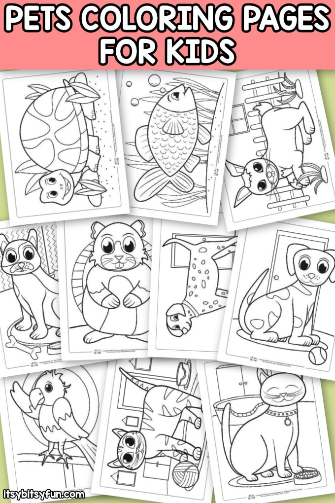 Pets coloring pages for kids