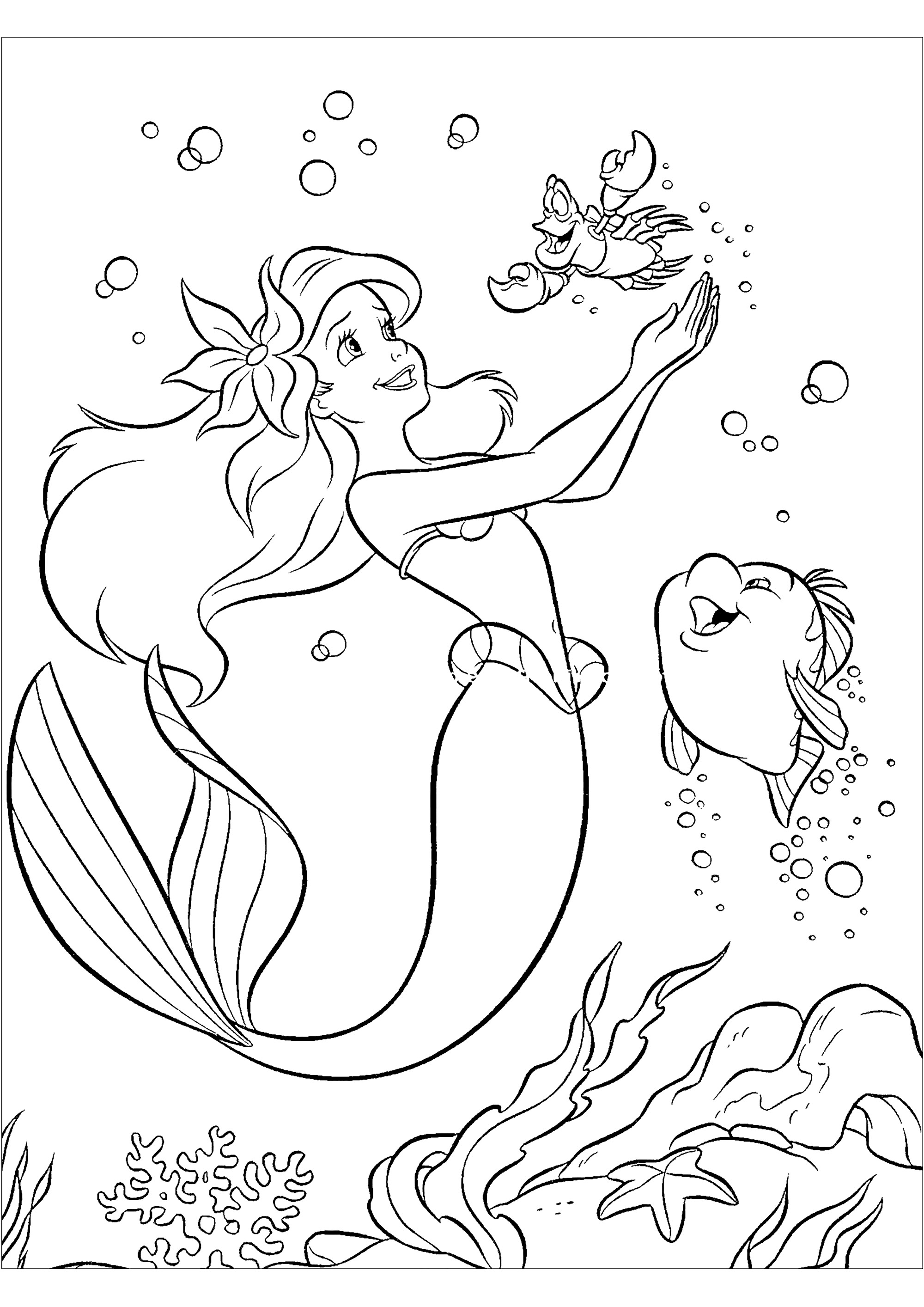 Ariel con sãbastien la langosta y polochon su amigo pez