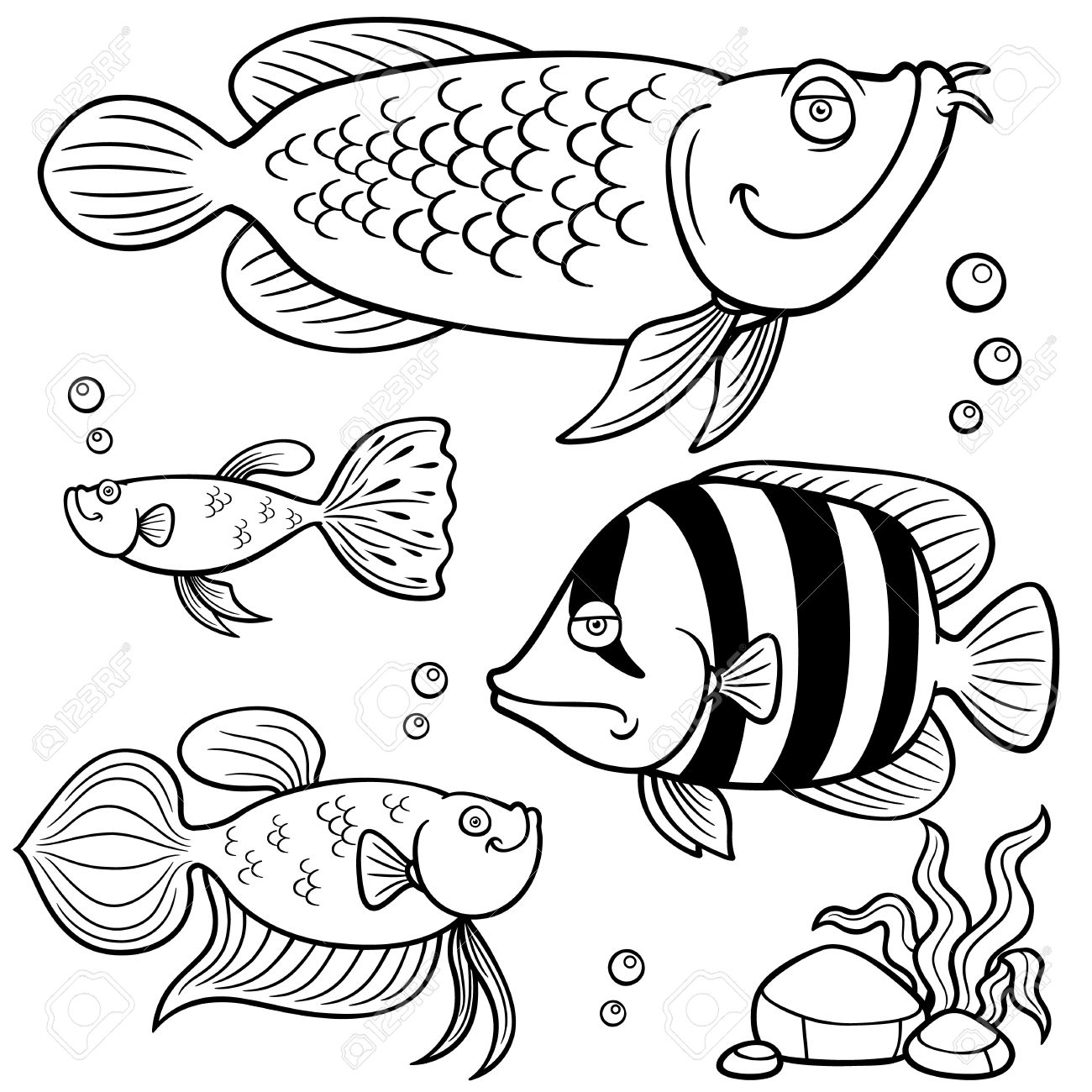 Vector illustration of aquarium fishes collection