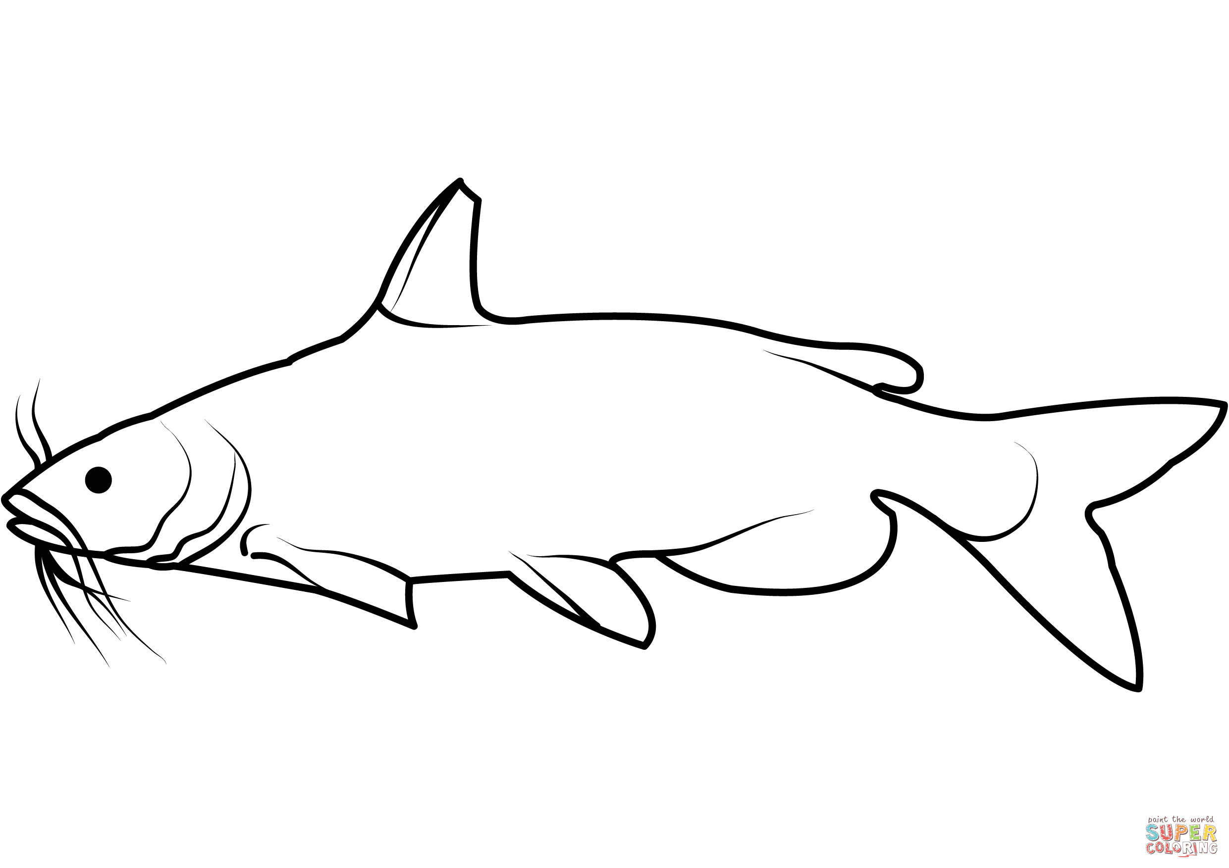 Dibujo de pez gato americano ictalurus punctatus para colorear dibujos para colorear imprimir gratis