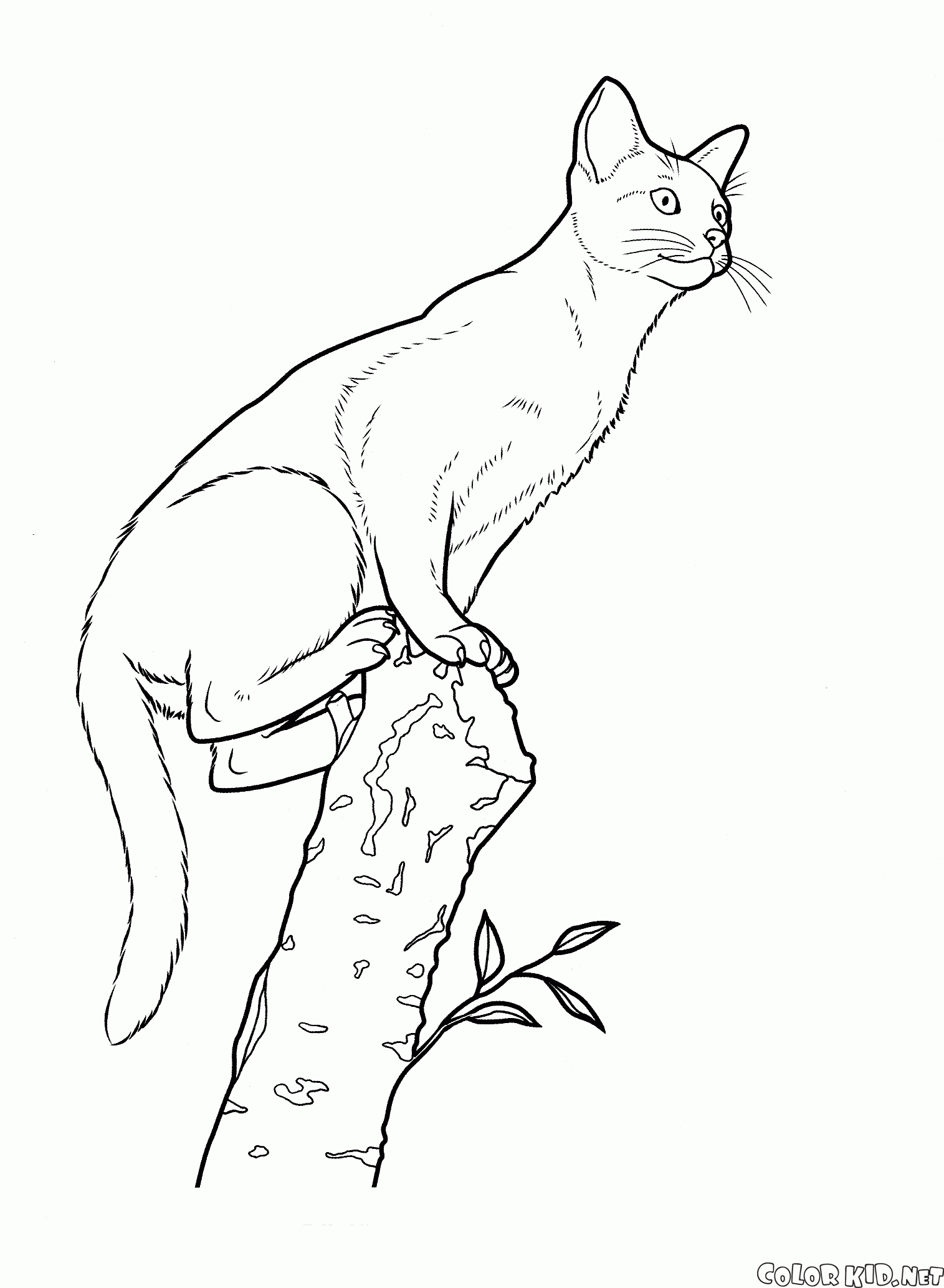 Coloring page