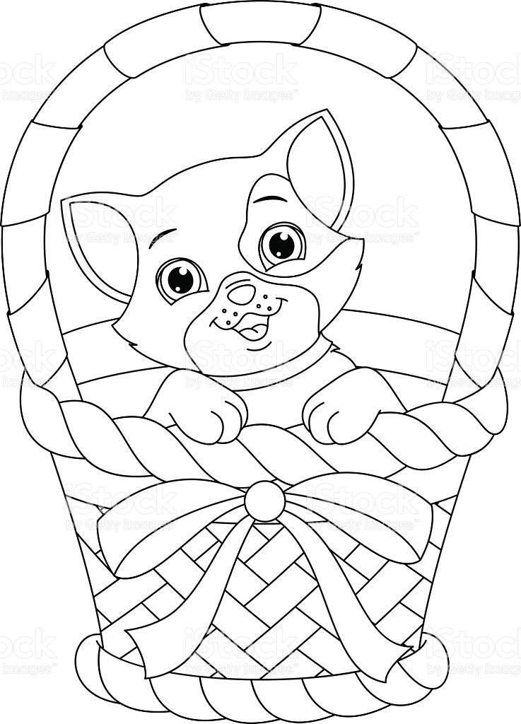 Cat sitting in a basket coloring page pãginas de colorir animais gato sentado ilustraããµes