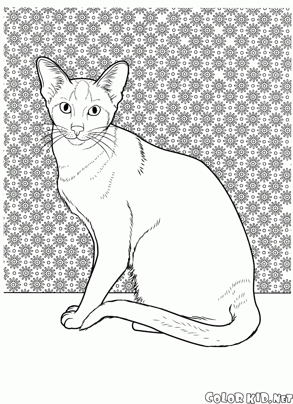 Coloring page