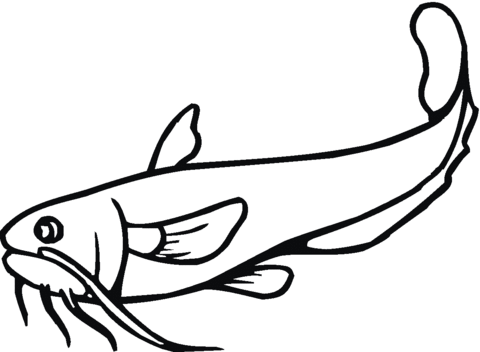 Catfish coloring page free printable coloring pages