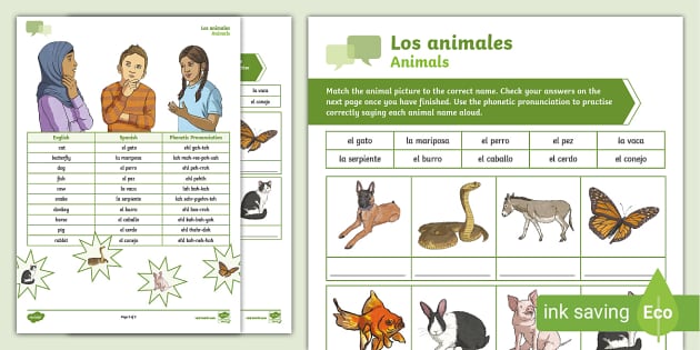 Match and say animals in spanish ks activity teacher