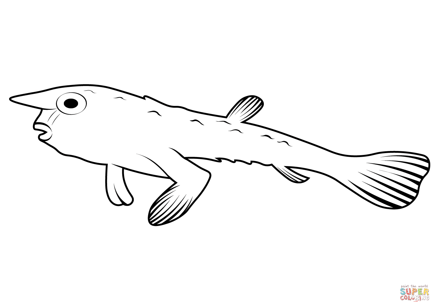 Dibujo de pez murciãlago de labios rojos ogcocephalus darwini para colorear dibujos para colorear imprimir gratis