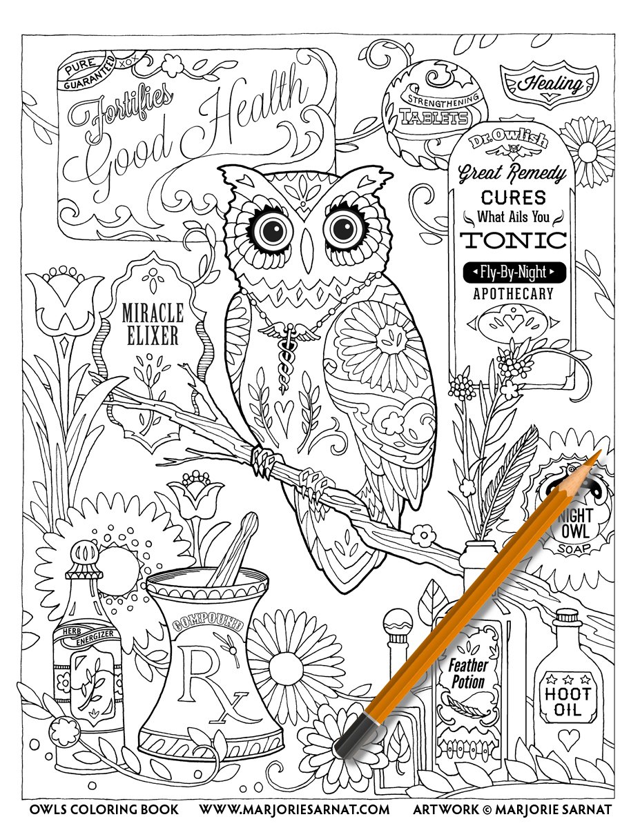 Owls â marjorie sarnat design illustration