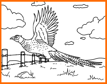 Free custom coloring pages ls marketing blog