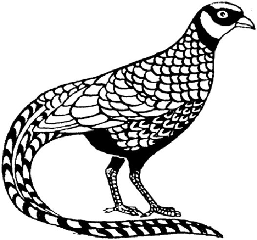 Pheasant coloring pages