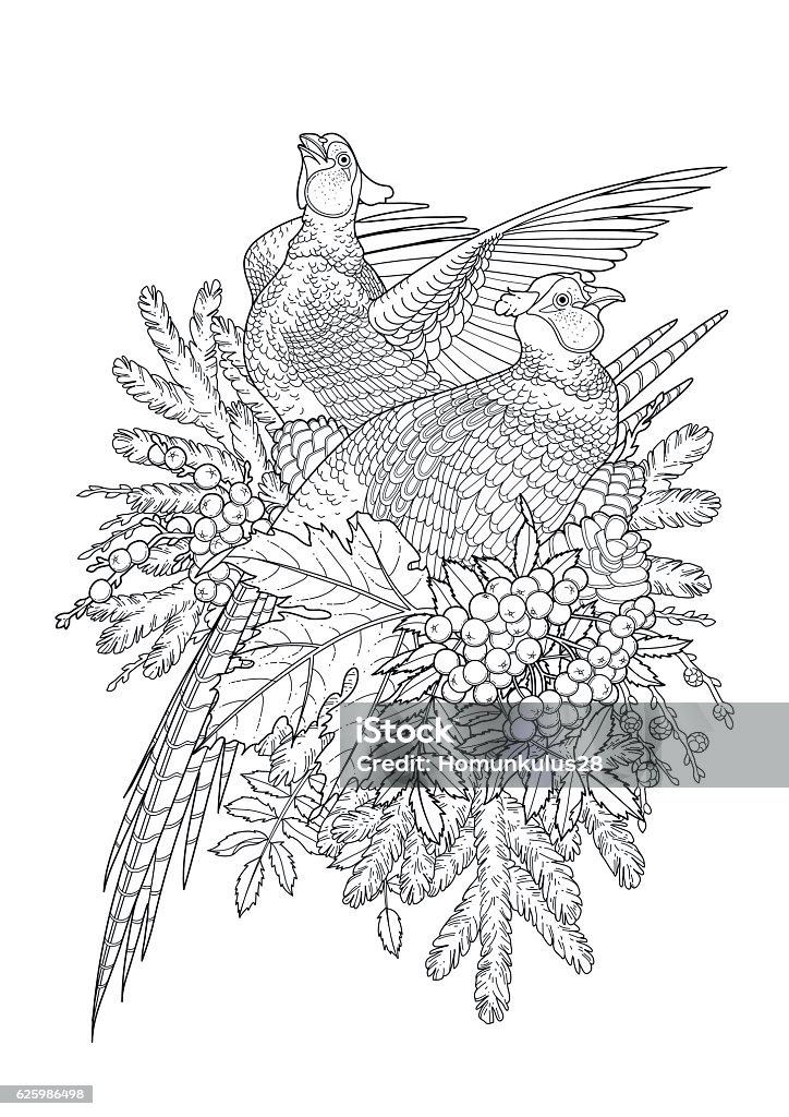 Graphic art with pheasants stock illustration