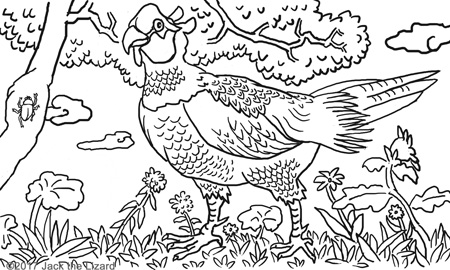 Animal coloring pages