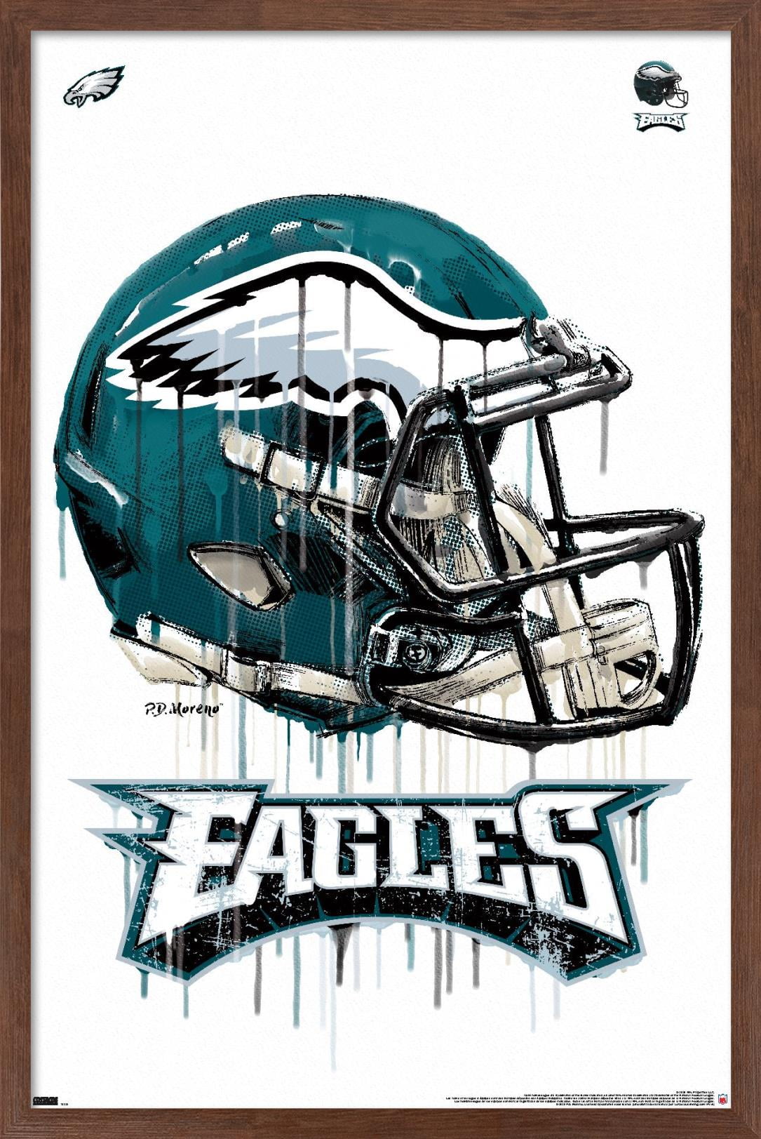 Nfl philadelphia eagles