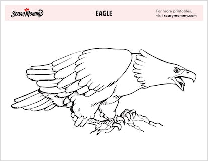 Eagle coloring pages to share with your talon