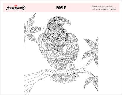 Eagle coloring pages to share with your talon