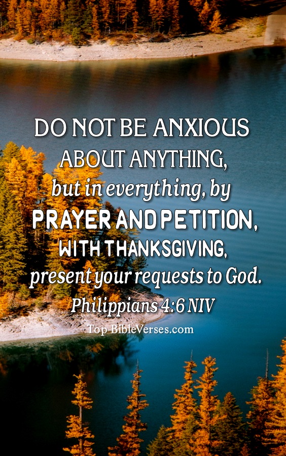 Download Free 100 + philippians 46 Wallpapers