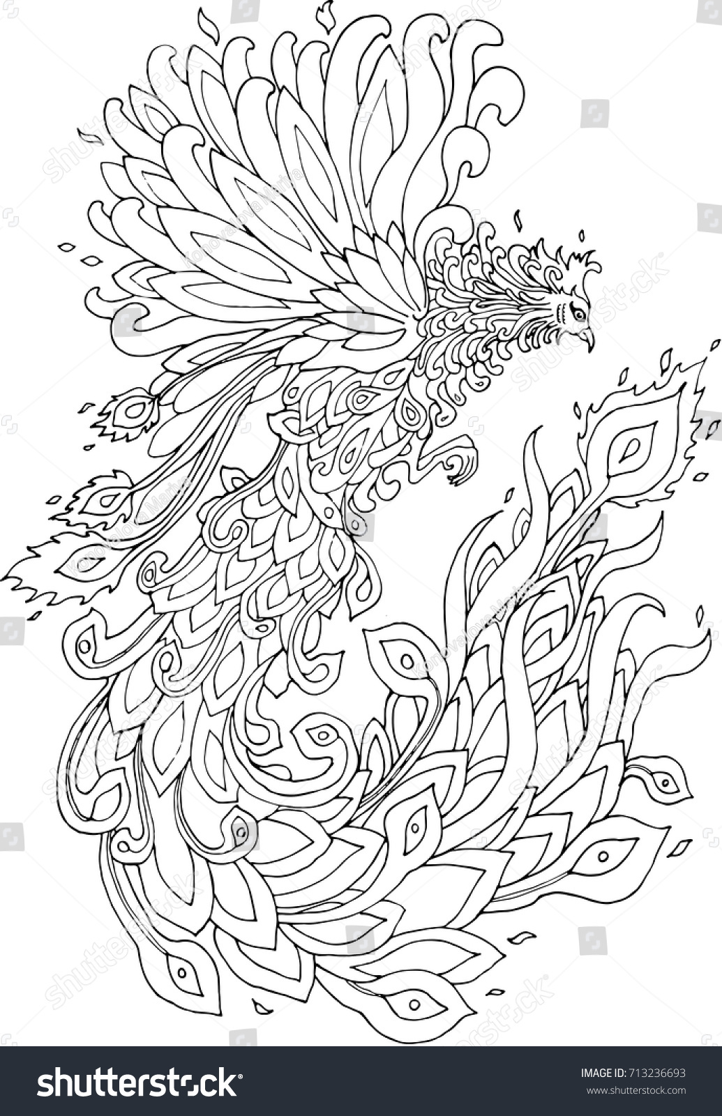 Vector coloring book phoenix bird stock vector royalty free