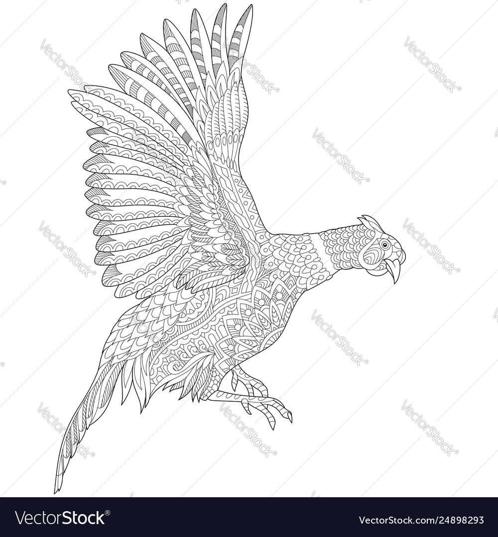 Pheasant or phoenix bird adult coloring page vector image