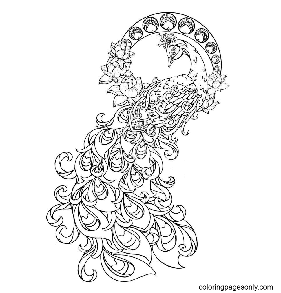 Phoenix coloring pages printable for free download