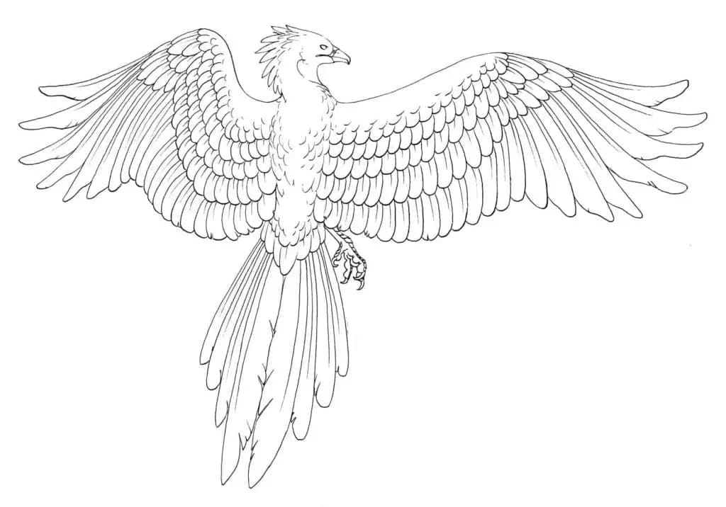 Phoenix coloring pages