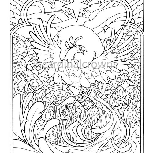 Buy phoenix coloring sheet fun relaxing coloring for kids adults printable or digital online in india