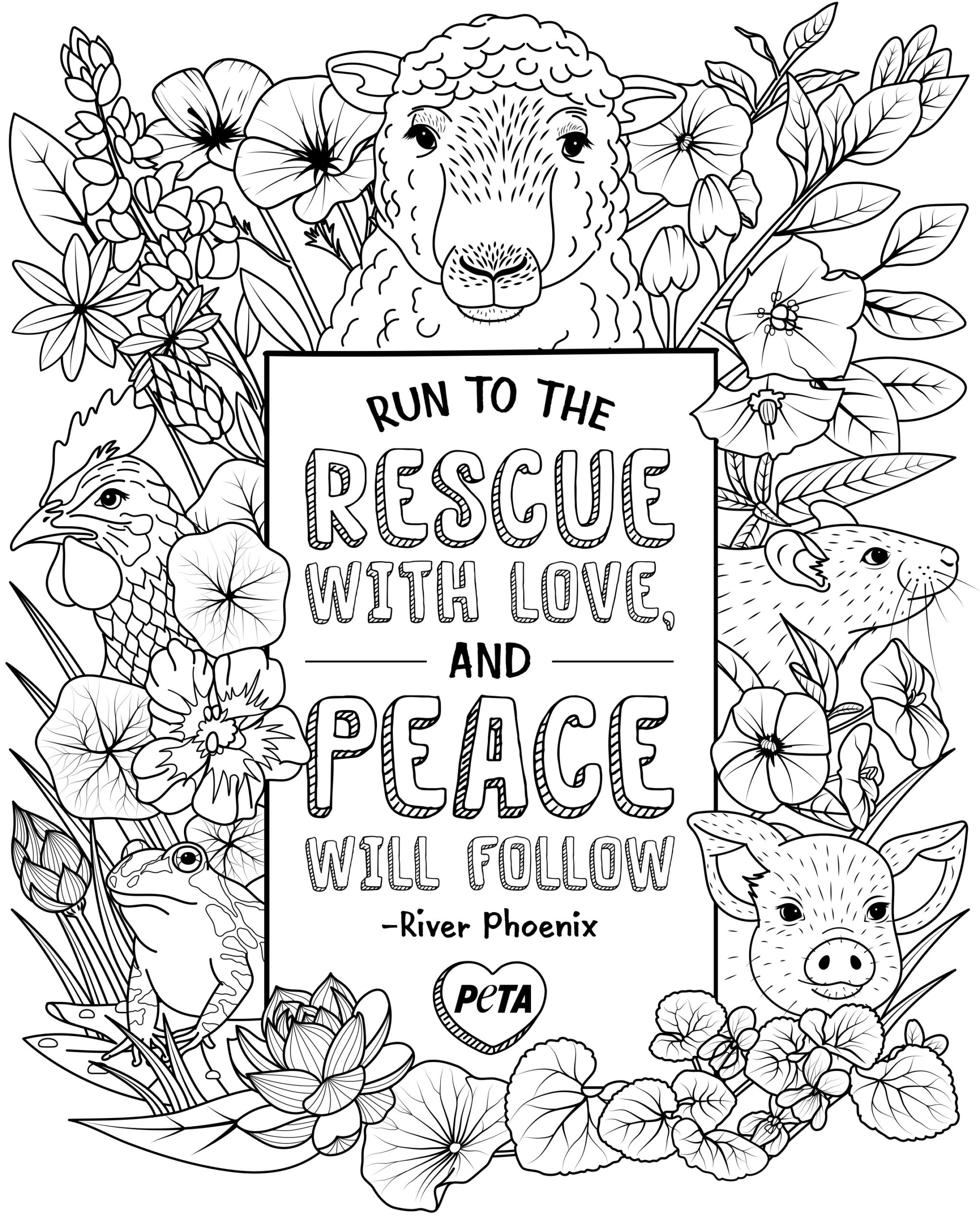 Get creative with these betiful animal rights colouring pages