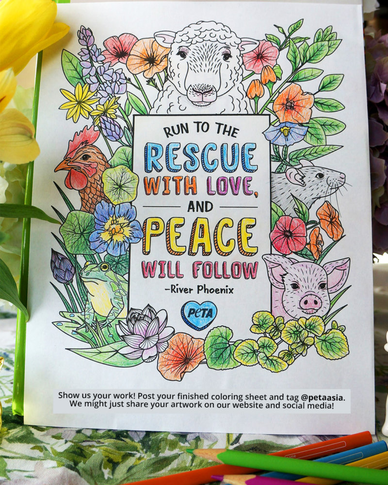 Bored get creative with these peta coloring pages