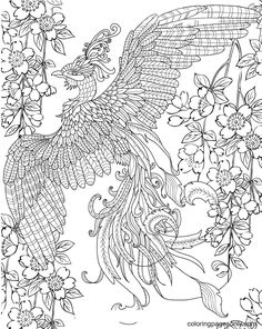 Phoenix coloring pages ideas coloring pages unique coloring pages free printable coloring pages