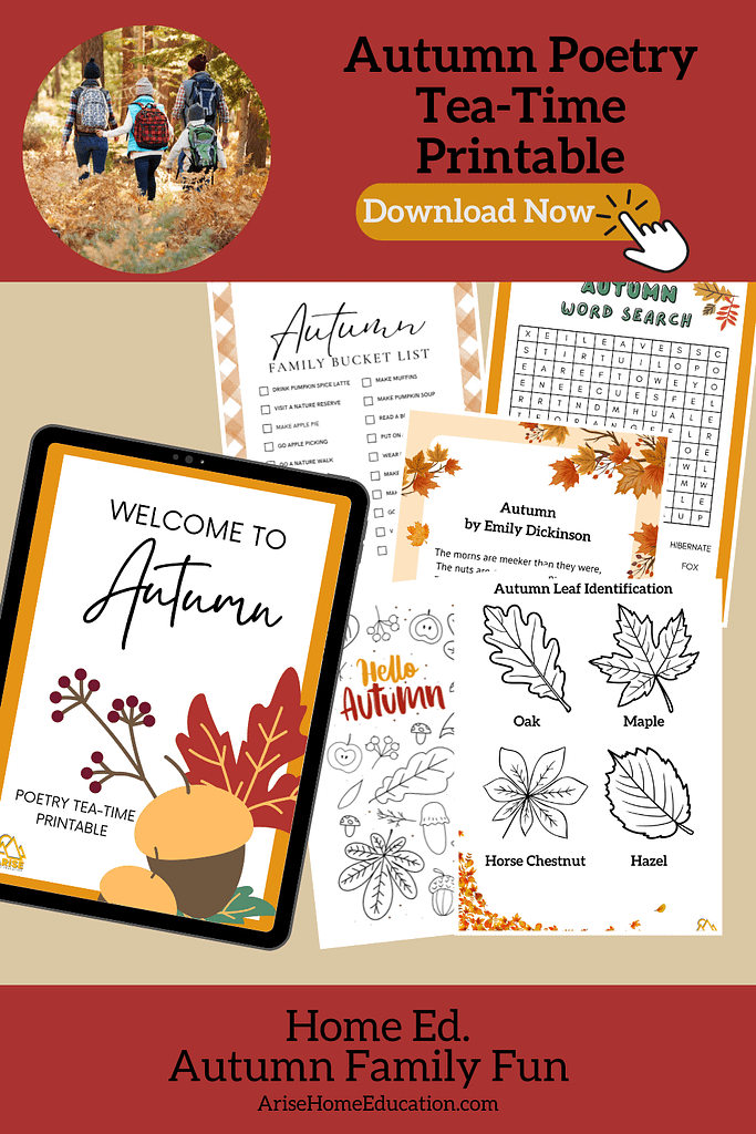 Free printable autumn leaves learning