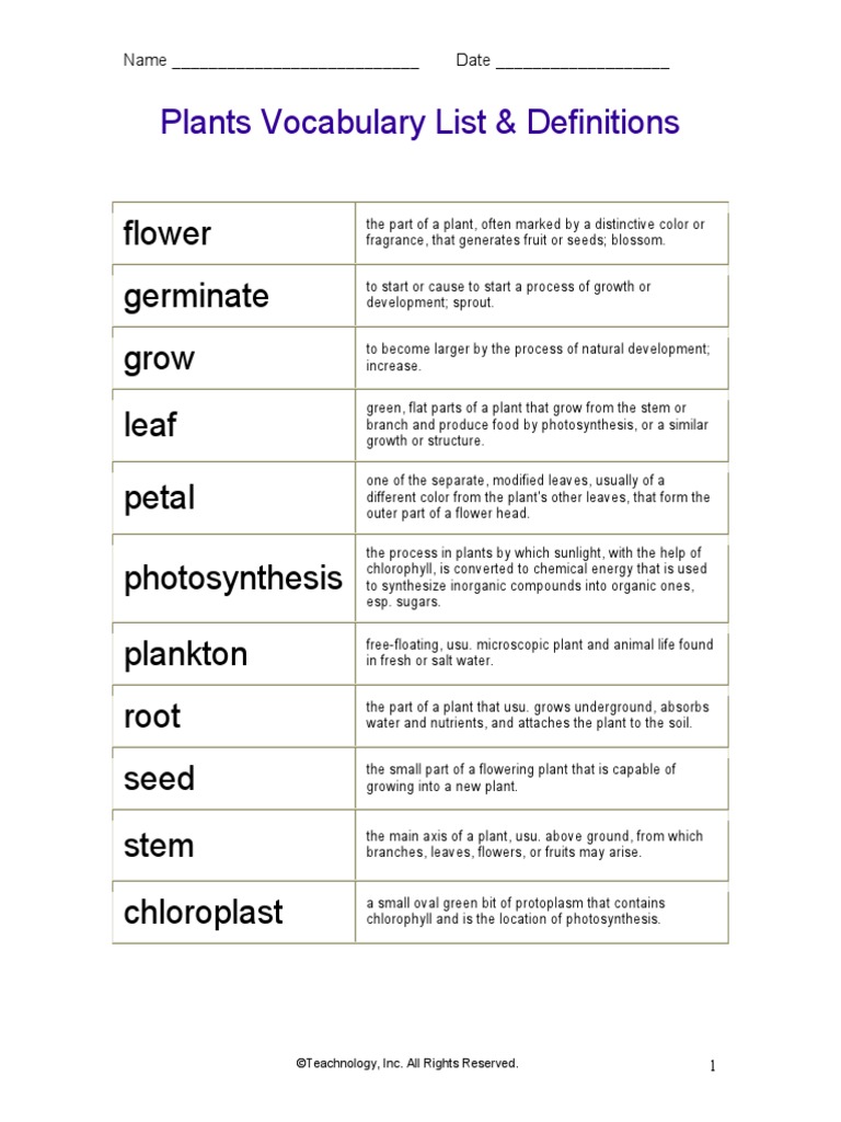 Plants vocabulary list definitions pdf plants leaf