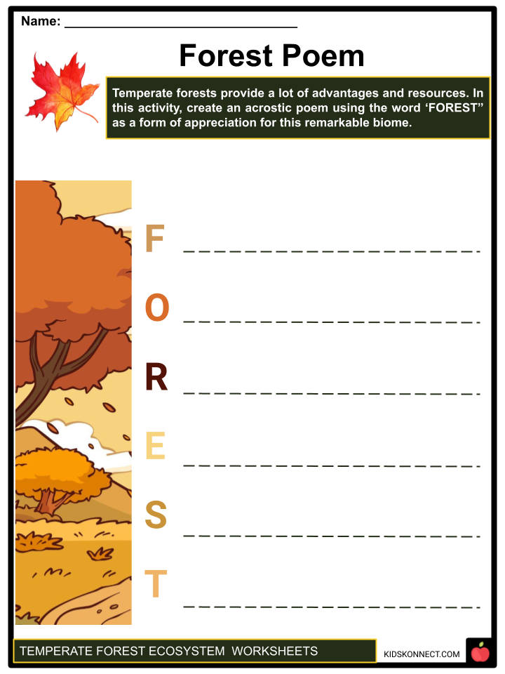 Temperate forest ecosystem worksheets geography climate flora and fauna