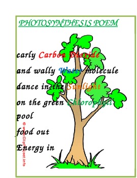 Photosynthesis poem by mssam tpt