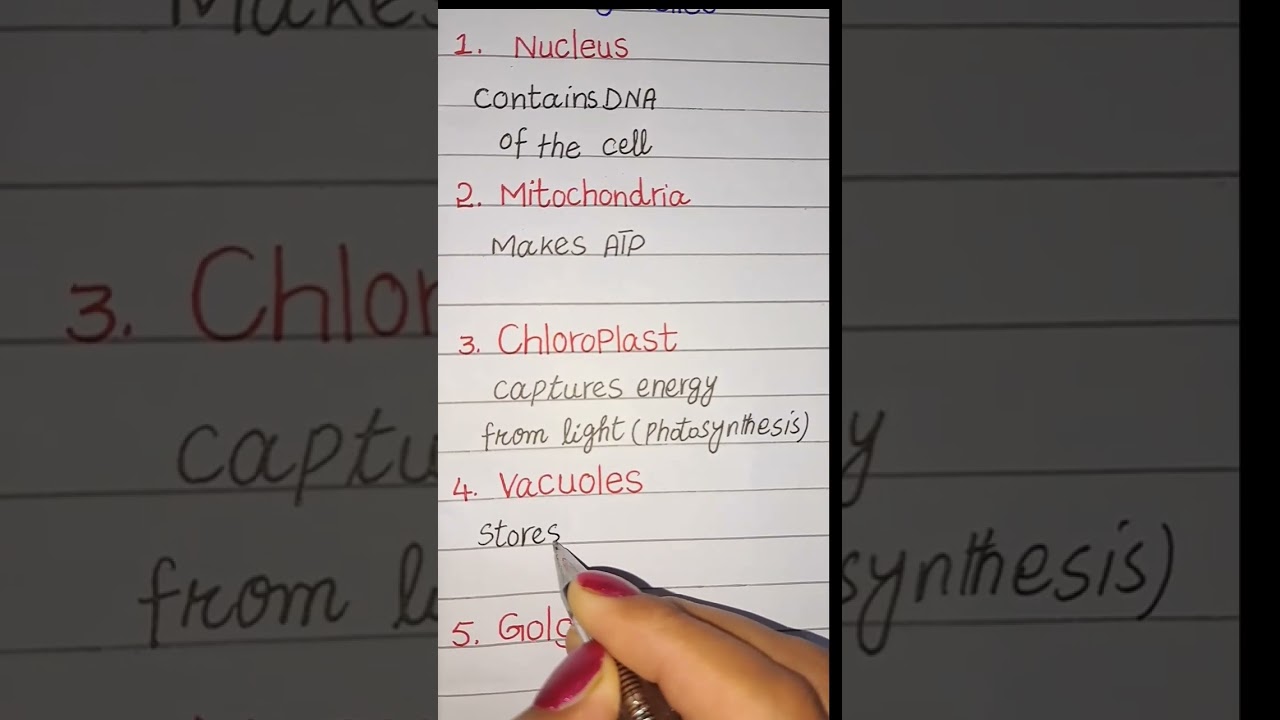 Cell organelles cell organelles and their functions working of cell organelles