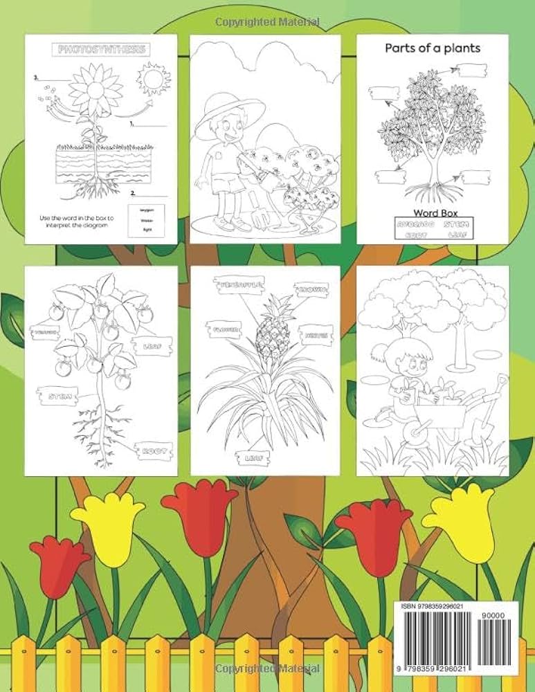 Book about plants for kids coloring book for kids cute hand drawn coloring pages about parts of a plant photosynthesis life cycle of plants gardening for kids illustrations and more