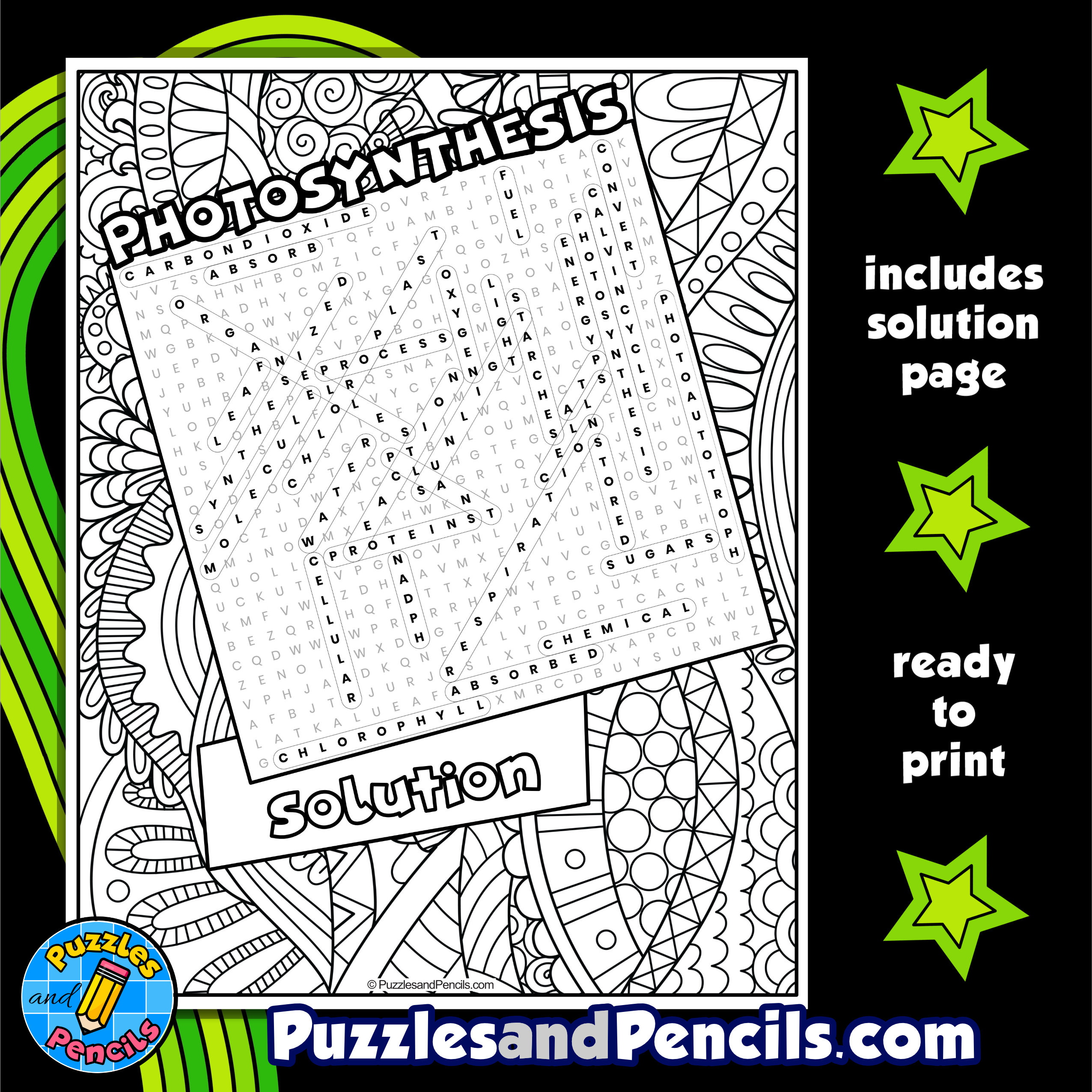 Photosynthesis word search puzzle with coloring plant biology wordsearch made by teachers