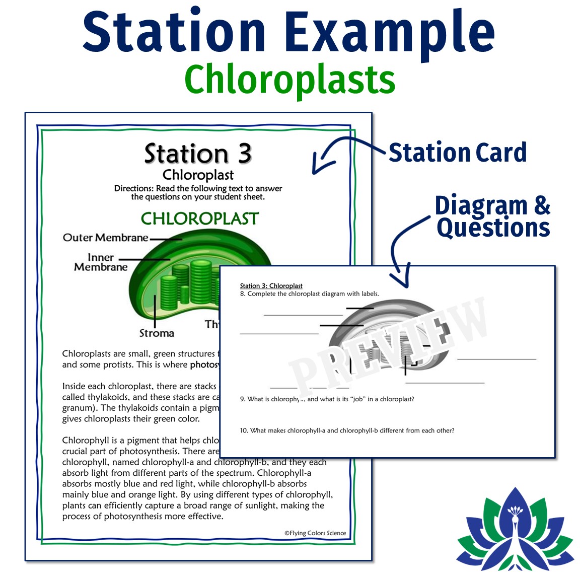 Photosynthesis and cellular respiration activity cell energy stations