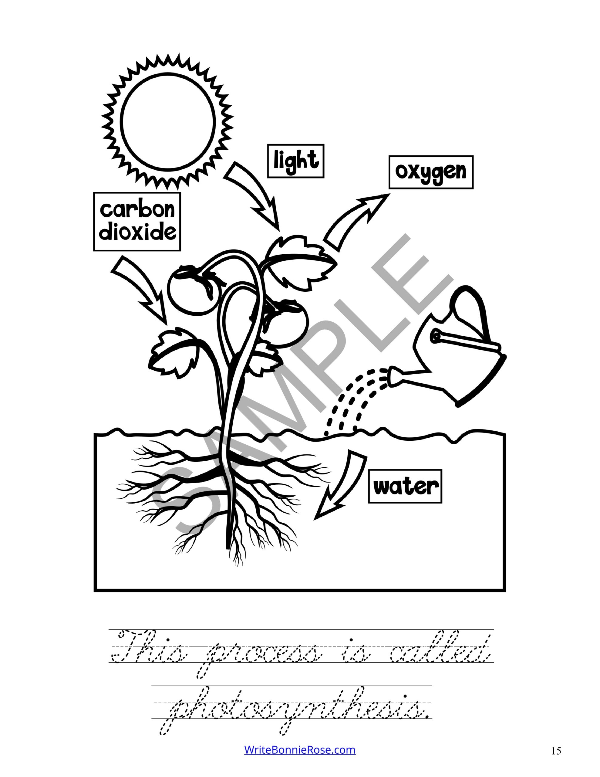 Questions answers coloring book about science plants