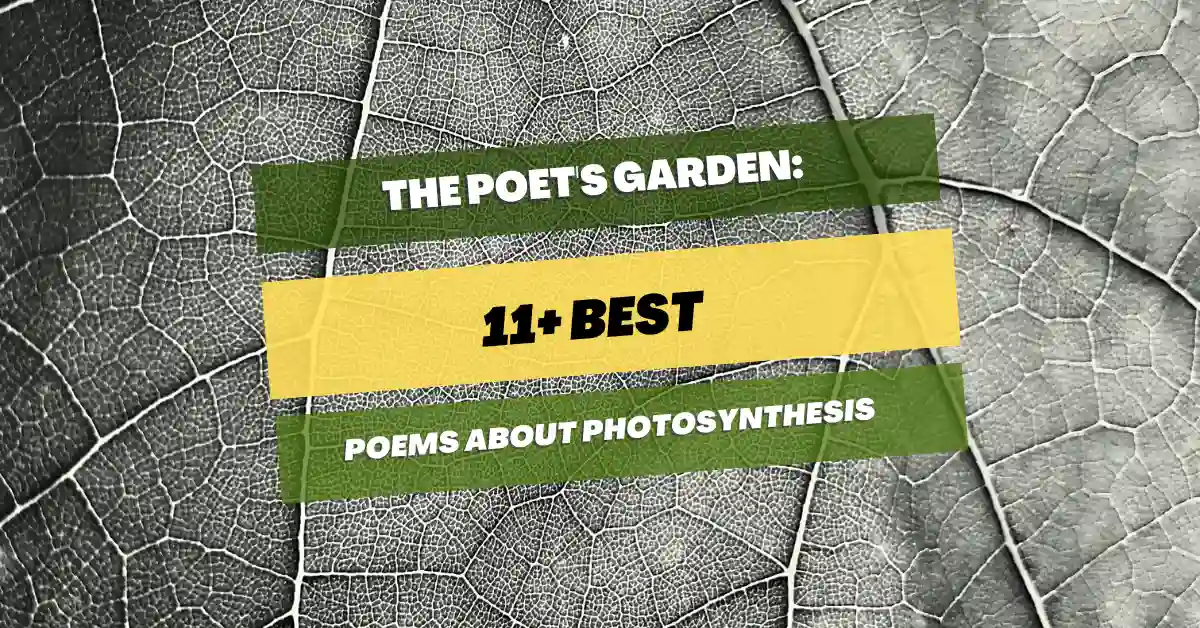 Best poems about photosynthesis the poets garden â pick me up poetry