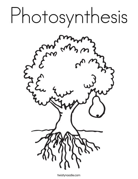 Photosynthesis coloring page