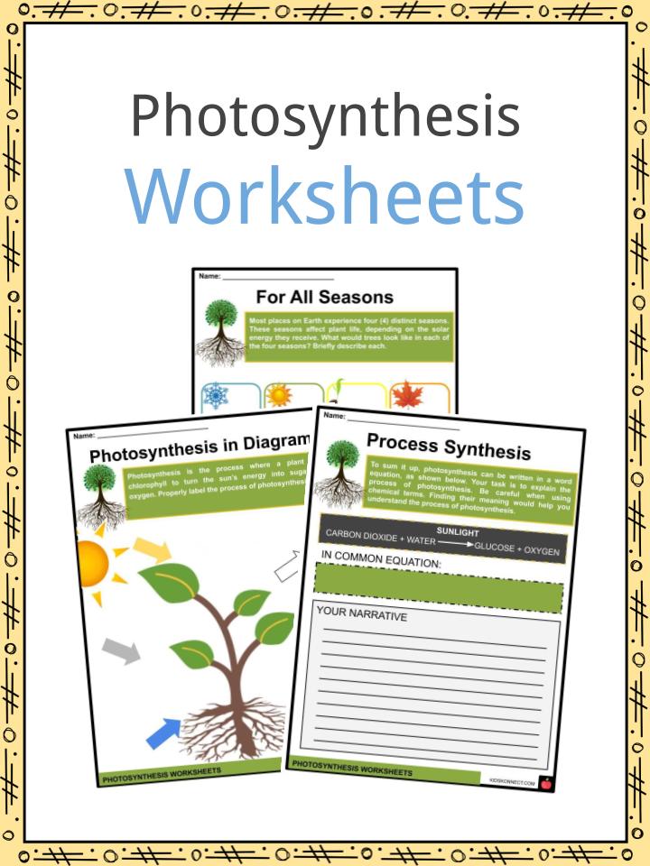 Photosynthesis facts information worksheets for kids