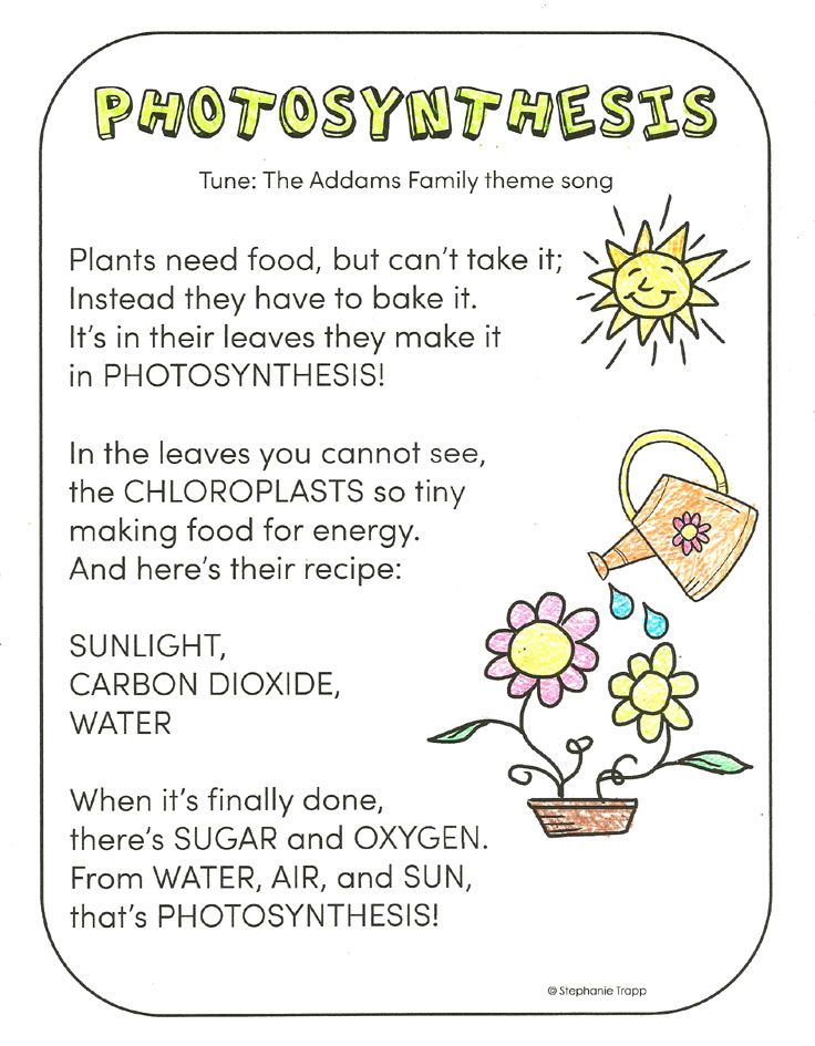 Photosynthesis for kids photosynthesis worksheet photosynthesis photosynthesis activities