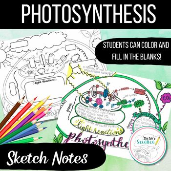 Photosynthesis sketch notes doodle notes coloring sheet by sketchy science