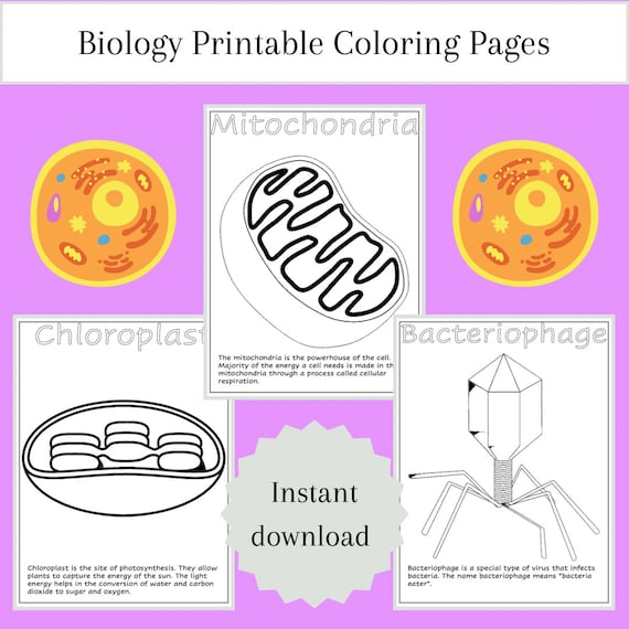 Biology printable coloring pages biology for kids biology for kindergarten preschool daycare