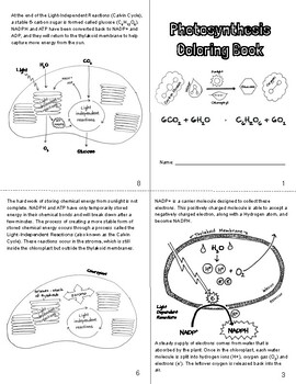 Photosynthesis coloring book plex by keeping science simple