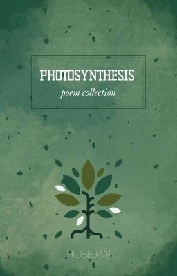 Photosynthesis stories