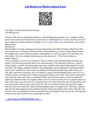 Lab report on photosynthesis essay pdf