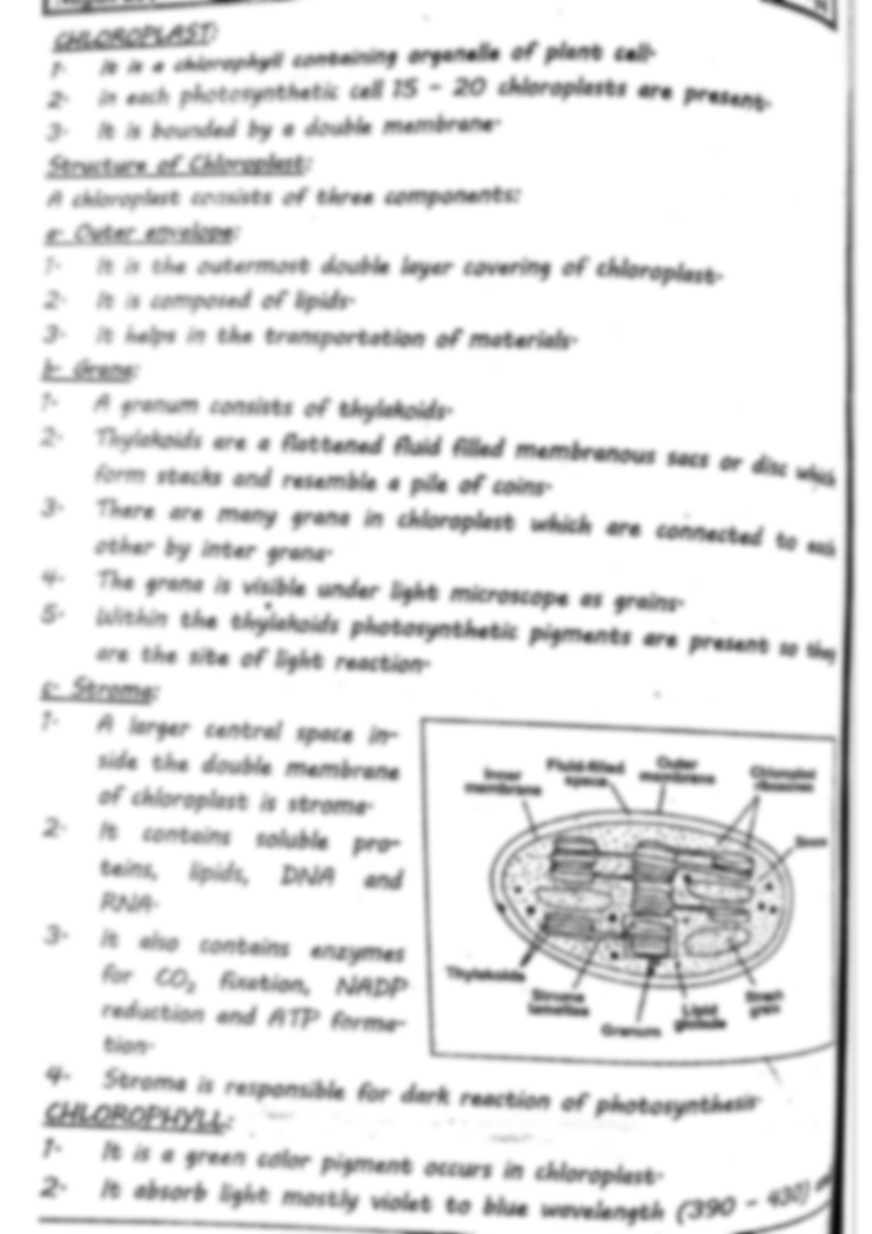 Solution define photosynthesis discuss pressed