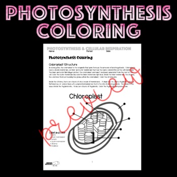 Photosynthesis coloring by bison discovery tpt