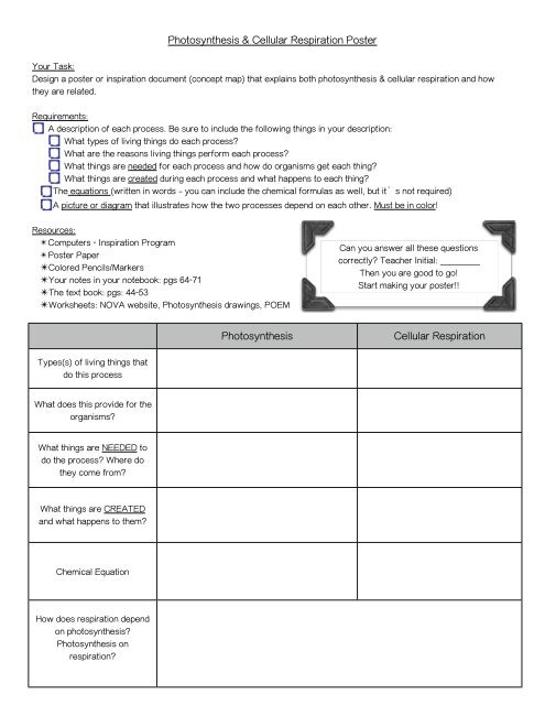 Photosynthesis amp cellular respiration poster instructions