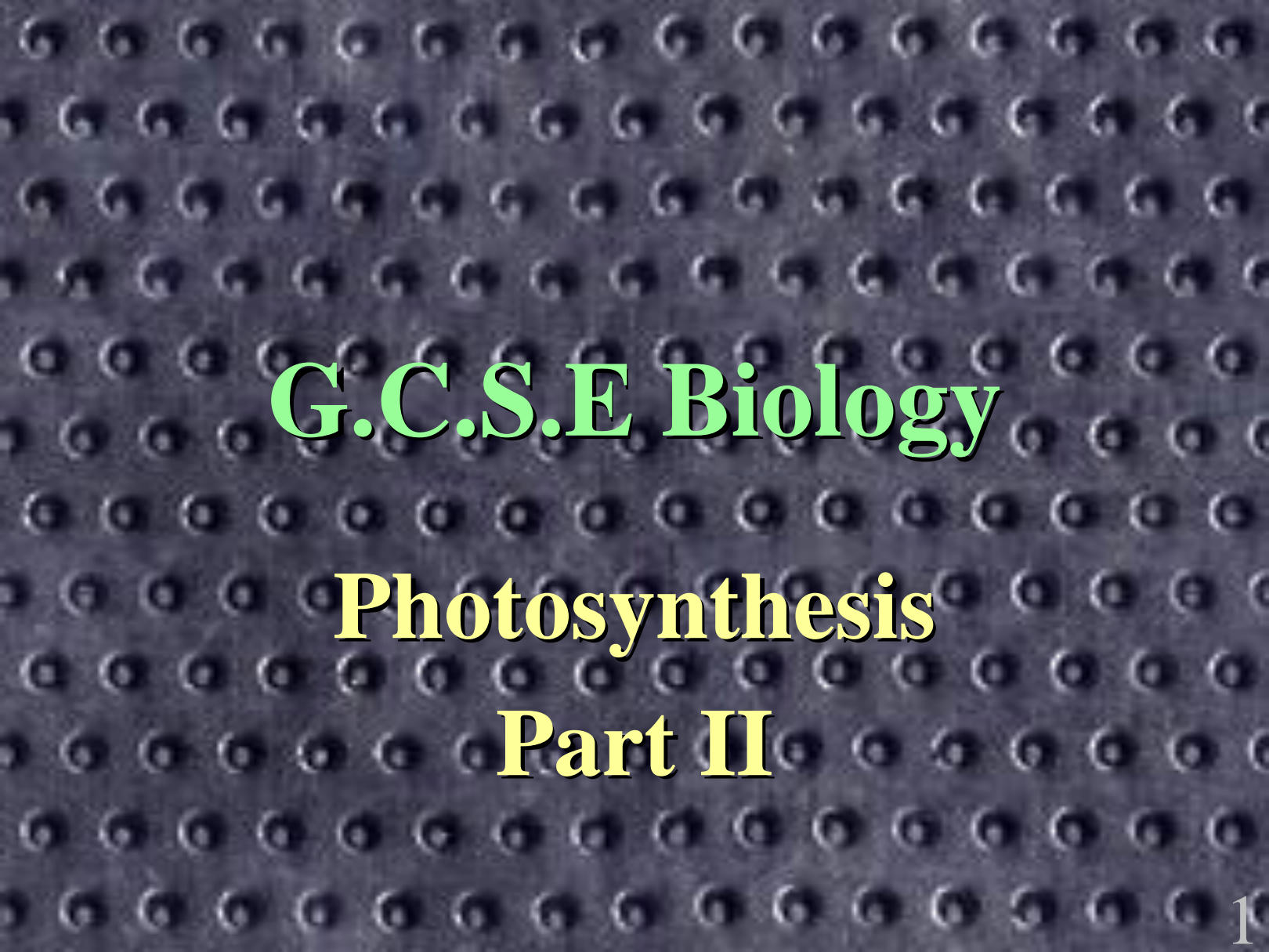 Solution photosynthesis part ii